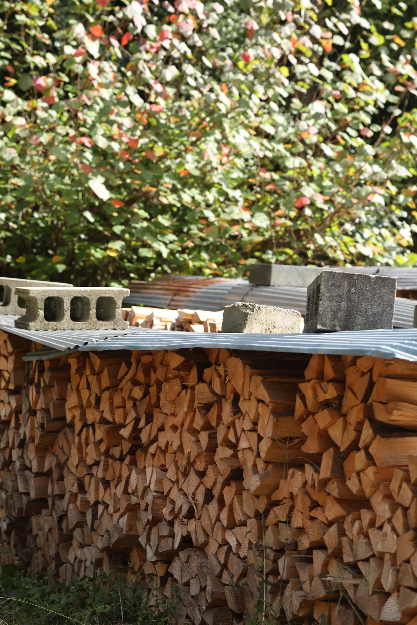 2019_iga_atelier_1H0A3182