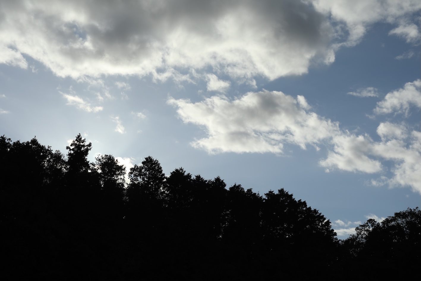 2019_iga_atelier_1H0A3303